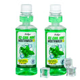 Load image into Gallery viewer, Liillya Ice Cool Mint Mouthwash