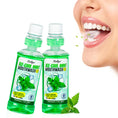 Load image into Gallery viewer, Liillya Ice Cool Mint Mouthwash